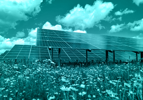 Transforming Business Efficiency with TSI